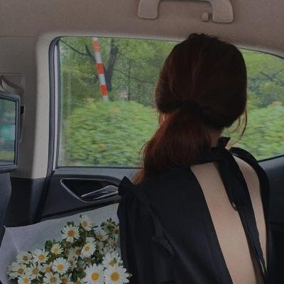 一只龟的进化史